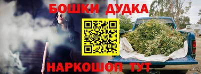 гашик Волжский