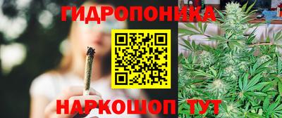 гашик Волжский