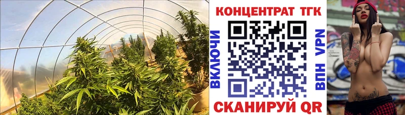Дистиллят ТГК жижа  KRAKEN вход  Владимир 