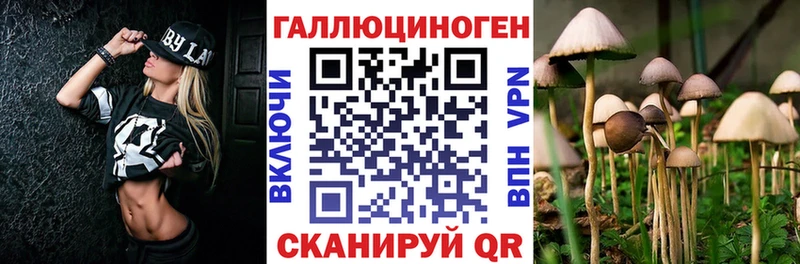 где найти   Владимир  Псилоцибиновые грибы прущие грибы 