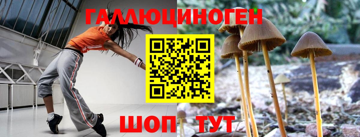 Галлюциногенные грибы GOLDEN TEACHER  Псилоцибиновые грибы Psilocybine cubensis  Владимир 