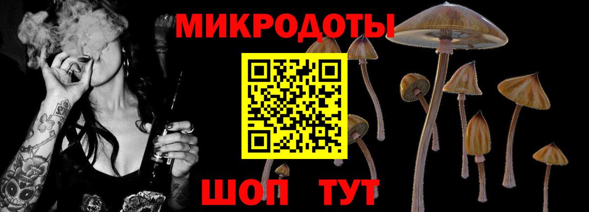 Владимир  хочу   Галлюциногенные грибы Cubensis  Вход с VPN  Галлюциногенные грибы Psilocybe 