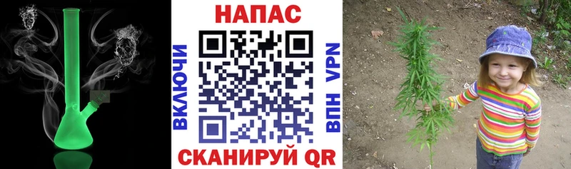 где купить наркоту  МЕГА рабочий сайт  Шишки марихуана SATIVA & INDICA  Владимир 