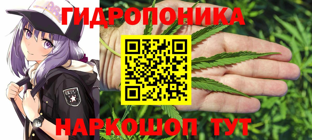 Конопля конопля Владимир